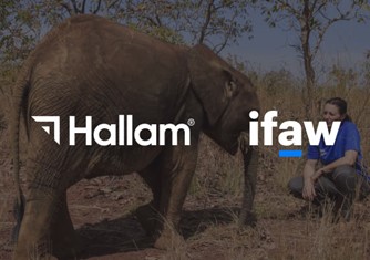 Hallam-x-ifaw.jpeg